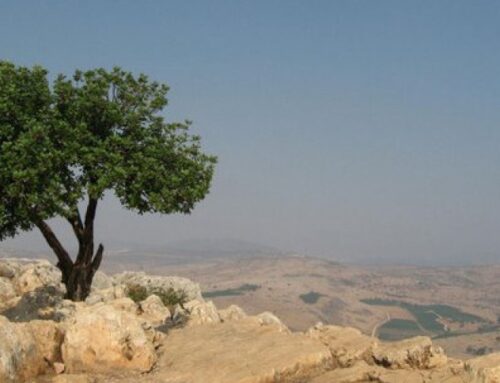 Soutien aux Chrétiens d&rsquo;Orient